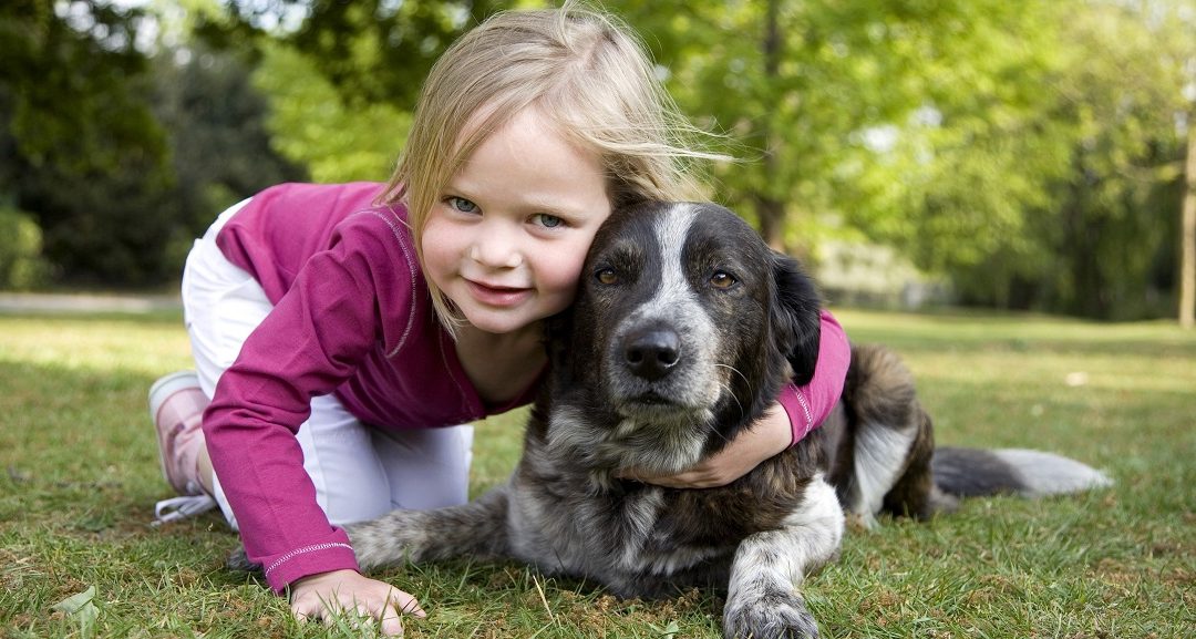Three Tips to Keep Your Dog Healthy and Vital