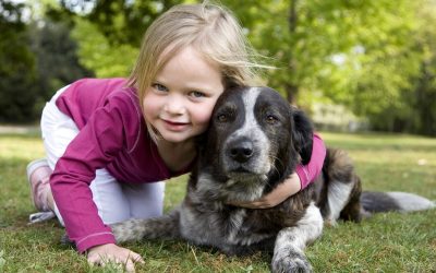 Three Tips to Keep Your Dog Healthy and Vital